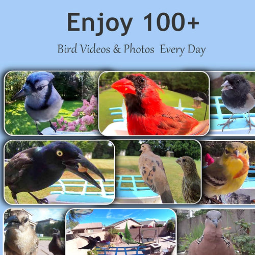 d8c4cfe4-9e16-4892-acab-121c72803787