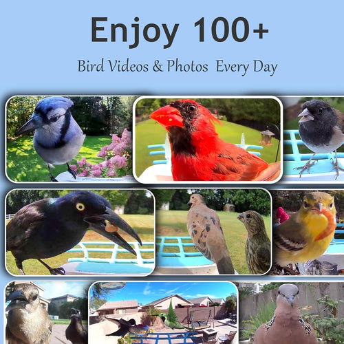 ea5c306c-11c5-4588-b592-2d98b7f2b9a1